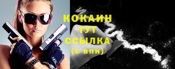 первитин Богданович