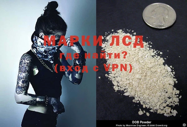 дживик Белокуриха