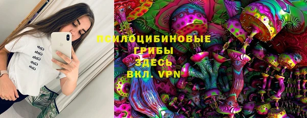 дживик Белокуриха
