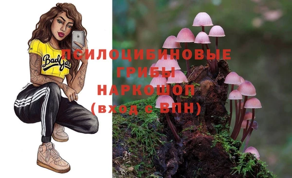 a pvp Беломорск