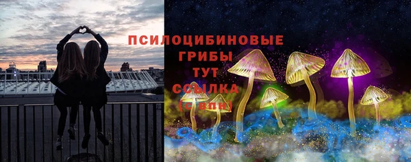дживик Белокуриха