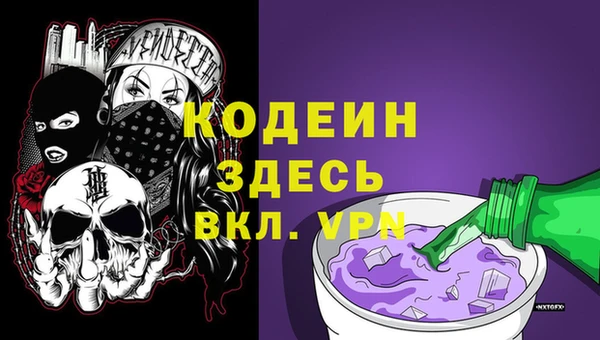 дживик Белокуриха